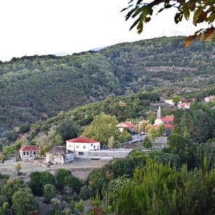 «Φαντάζομαι έναν κόσμο στον οποίο θα μπορούν οι άνθρωποι να ζουν στα χωριά ξανά»