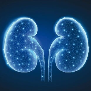 Η Boehringer Ingelheim εντείνει τις δράσεις της για τη χρόνια νεφρική νόσο