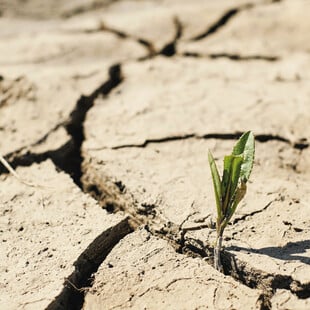 ΠΟΥ και Lancet προειδοποιούν ότι η κλιματική κρίση στοιχίζει 10 εκατ. ζωές ετησίως 