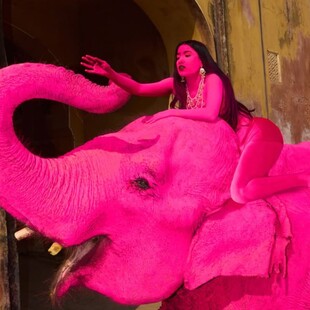 ΡΟΖ ΕΛΕΦΑΝΤΑΣ ΑΝΤΙΔΡΑΣΕΙΣ