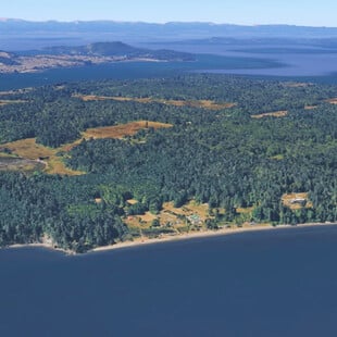 ΝΕΚΡΑ ΣΚΥΛΙΑ ΣΙΑΤΛ ΗΠΑ