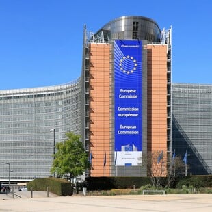 ΕΥΡΩΠΑΙΚΗ ΕΠΙΤΡΟΠΗ ΚΟΜΙΣΙΟΝ SIGNAL GROUP CHAT