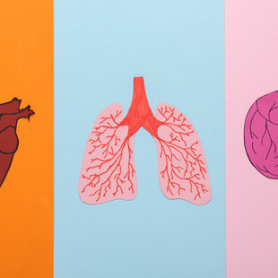 Καρδιοπνευμονικό ταξίδι φροντίδας, με την καρδιά και τον πνεύμονα να μιλούν την ίδια γλώσσα στη ΧΑΠ