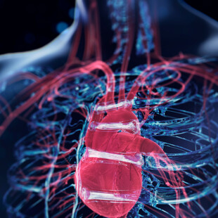 ΟΞΦΟΡΔΗ ΚΑΡΔΙΑ ΚΑΡΔΙΑΚΗ ΑΝΕΠΑΡΚΕΙΑ ΑΙ 