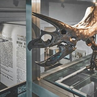 ΔΕΙΝΟΣΑΥΡΟΙ ΑΠΟΛΙΘΩΜΑΤΑ ΔΗΜΟΠΡΑΣΙΑ