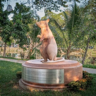 ΚΑΜΠΟΤΖΗ ΑΓΑΛΜΑ ΑΡΟΥΡΑΙΟΣ