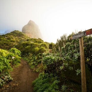 ΜΑΔΕΡΑ ΜΟΝΟΠΑΤΙ ΦΩΤΙΑ