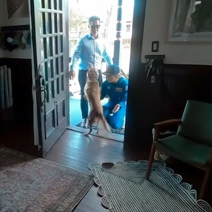 ARTEMIS II ΚΡΙΣΤΙΝΑ ΚΟΧ ΣΚΥΛΟΣ ΕΠΑΝΕΝΩΣΗ