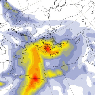 ΚΑΙΡΟΣ ΤΣΑΤΡΑΦΥΛΛΙΑΣ ΑΦΡΙΚΑΝΙΚΗ ΣΚΟΝΗ