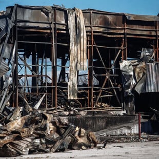 ΒΙΟΛΑΝΤΑ ΕΚΡΗΞΗ ΕΚΘΕΣΗ ΧΗΜΕΙΟ ΤΟΥ ΚΡΑΤΟΥΣ ΔΙΑΡΡΟΗ ΠΡΟΠΑΝΙΟ