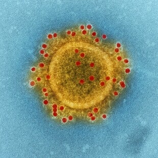 ΚΑΡΚΙΝΟΣ ΑΝΟΣΟΘΕΡΑΠΕΙΑ