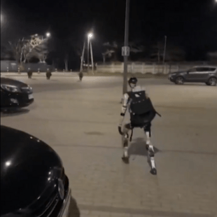 Βαρσοβία: Viral ρομπότ που κυνηγά αγριογούρουνα στους δρόμους