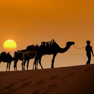 ΤΟΥΡΙΣΜΟΣ 2026 ΑΙΓΥΠΤΟΣ ΑΙΘΙΟΠΙΑ ΣΕΥΧΕΛΛΕΣ