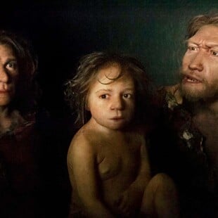 ΝΕΑΤΕΡΝΤΑΛ ΒΡΕΦΟΣ ΧΟΜΟ ΣΑΠΙΕΝΣ