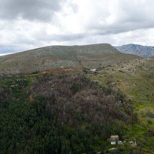 2.000 νέα δέντρα από το φυσικό μεταλλικό νερό ΒΙΚΟΣ σε Χίο και Βόρεια Εύβοια