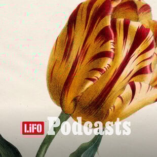 Πώς ένας βολβός θα σου δώσει το πιο όμορφο λουλούδι