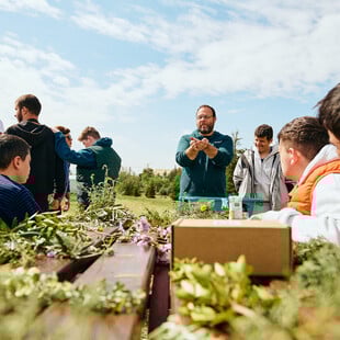 Πέντε χρόνια δράσης της Motor Oil στην Αμυγδαλέζα: Μια πρωτοβουλία για τα ελληνικά δάση