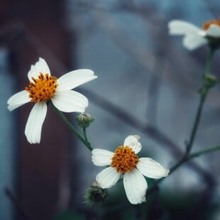 ΚΑΙΡΟΣ ΒΡΟΧΕΣ ΠΕΜΠΤΗ