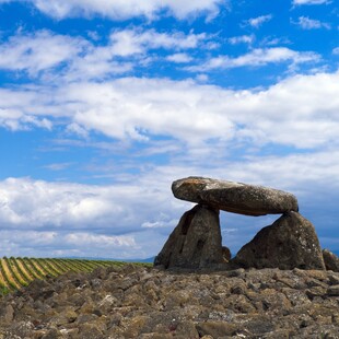 ΠΑΡΙΣΙ ΑΝΤΙΚΑΤΑΣΤΑΣΗ ΠΛΗΘΥΣΜΟΣ