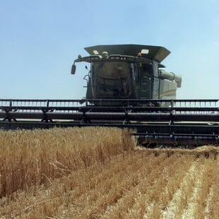 ΤΡΟΦΙΜΑ ΚΑΥΣΩΝΑΣ ΚΛΙΜΑΤΙΚΗ ΚΡΙΣΗ ΚΛΙΜΑΤΙΚΗ ΑΛΛΑΓΗ