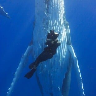 Πέθανε ο Νταγκ Άλαν, ο θρυλικός κάμεραμαν των πολικών ντοκιμαντέρ του Ντέιβιντ Άτενμπορο