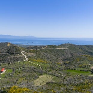 2.000 δέντρα για τη Γη: ΒΙΚΟΣ και we4all δίνουν ξανά ζωή σε Χίο και Βόρεια Εύβοια