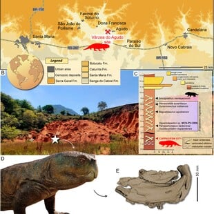 ΔΕΙΝΟΣΑΥΡΟΙ ΒΡΑΖΙΛΙΑ ΣΚΩΤΙΑ