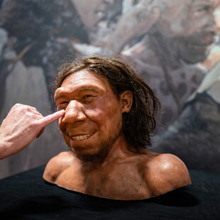 ΝΕΑΝΤΕΡΤΑΛ ΚΟΛΛΩΔΗΣ ΟΥΣΙΑ ΑΝΤΙΒΑΚΤΗΡΙΑΚΟ ΦΑΡΜΑΚΟ