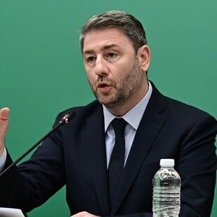 ΝΙΚΟΣ ΑΝΔΡΟΥΛΑΚΗΣ ΥΠΟΚΛΟΠΕΣ ΠΡΟΑΝΑΚΡΙΤΙΚΗ ΕΠΙΤΡΟΠΗ