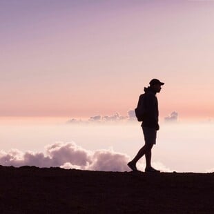ΑΣΚΗΣΗ ΜΑΚΡΟΖΩΙΑ ΓΙΑΤΡΟΣ