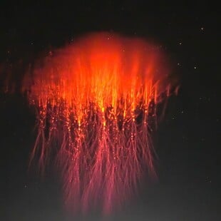 ΦΩΤΟΓΡΑΦΙΑ NATIONAL GEOGRAPHIC ΦΑΙΝΟΜΕΝΟ 