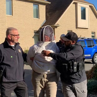 ΜΕΛΙΣΣΟΚΟΜΟΣ ΗΠΑ ΕΞΩΣΗ