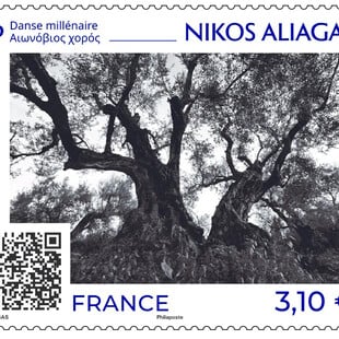 ΜΕΣΟΛΟΓΓΙ ΑΙΩΝΟΒΙΕΣ ΕΛΙΕΣ ΓΡΑΜΜΑΤΟΣΗΜΟ ΝΙΚΟΣ ΑΛΙΑΓΑΣ