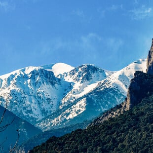 ΧΙΟΝΙ ΒΟΥΝΟ