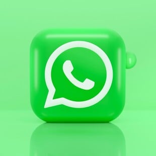 WHATSAPP INCOGNITO AI