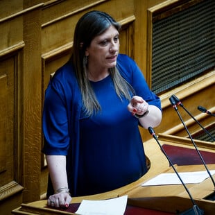 ΖΩΗ ΚΩΝΣΤΑΝΤΟΠΟΥΛΟΥ ΒΟΥΛΕΥΤΙΚΗ ΑΣΥΛΙΑ