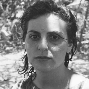 Οι χαμένοι ορίζοντες της Michèle Firk 
