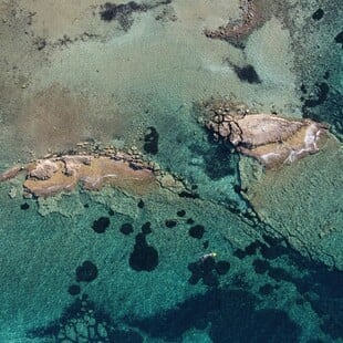 ΑΙΓΙΝΑ ΝΗΣΙ TIMES