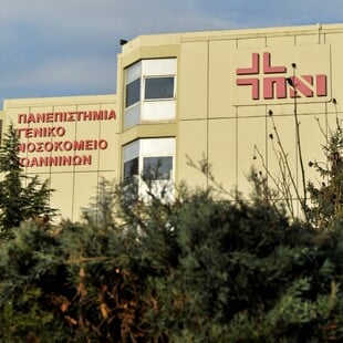 ΕΥΛΟΓΙΑ ΤΩΝ ΠΙΘΗΚΩΝ ΚΡΟΥΣΜΑ ΙΩΑΝΝΙΝΑ