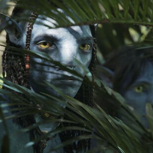 AVATAR THE WAY 