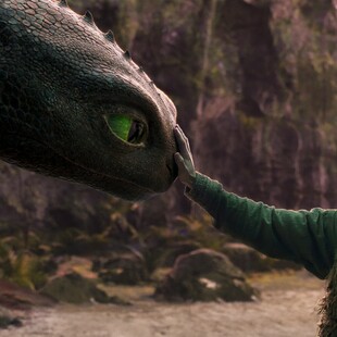 How to Train your Dragon