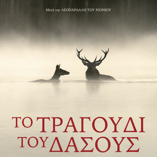 Le Chant des forêts