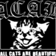 ACAB (all cats are beautiful)