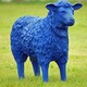 Μπλε Πρόβατο