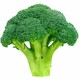 The Broccoli Industry