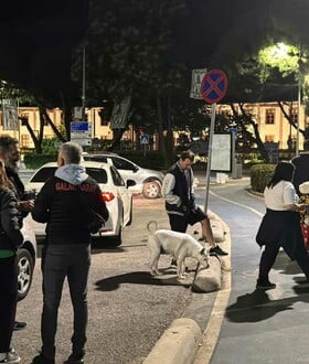 Τούρκος σεισμολόγος: Είναι από τα μέρη που μπορούν να δώσουν σεισμούς 8 Ρίχτερ