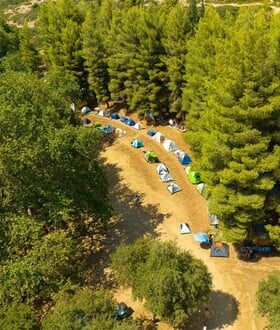 Φεστιβάλ Ελάτειας: Εκεί που η μουσική στήνει φωλιά κάτω απ’ τα πλατάνια εδώ και 12 χρόνια