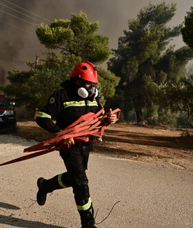 Antinero: Καταγγελία-μαμούθ για το μεγαλύτερο πρόγραμμα δασικής πρόληψης