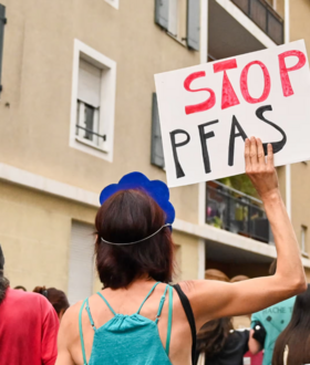 Επαναστατική ανακάλυψη: Εντερικά μικρόβια απομακρύνουν «παντοτινά χημικά» από το σώμα