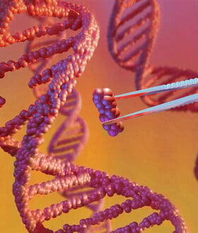Αρχαίοι ιοί «μέσα» στο DNA μας ίσως διαμόρφωσαν την ανθρώπινη εξέλιξη, δείχνει νέα μελέτη
